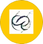 Multiprofessioneller Gespr�chskreis Qualit�tszirkel Palliativmedizin Siegen-Wittgenstein-Olpe